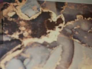 jaicefap2cam