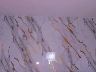 celestemoon1