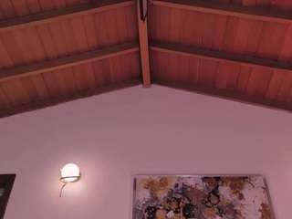 celestemoon1