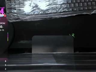 taylor-hills webcam