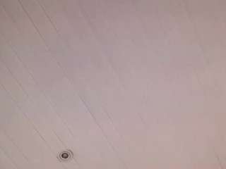 siennawilde Live Webcam on CamSoda