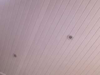  siennawilde chat room