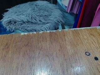 charlotte0615 webcam