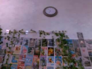 alisastarr webcam model