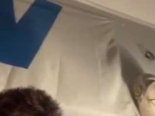 cumbuckets00
