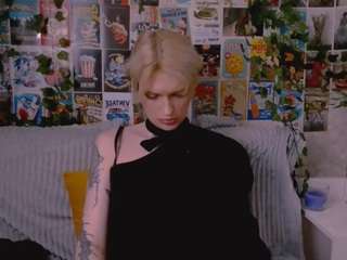 simonarain webcam