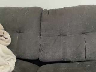 kitty3202