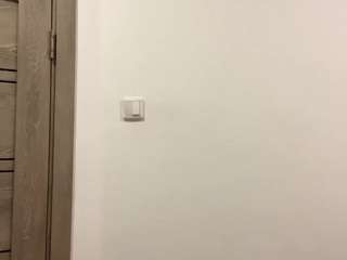 StellaFloresSub
