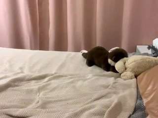 StellaFloresSubstantiation