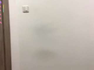 StellaFloresSubstantiation