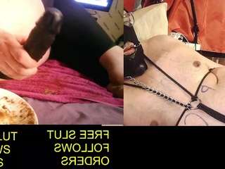 Maturedprojector's cam show statistics and live stream