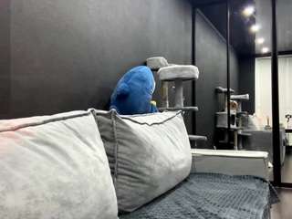 rachelblinks Live Webcam on CamSoda