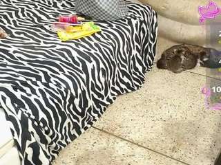 shantellsexy69 webcam