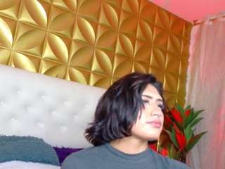 velvet-cam webcam