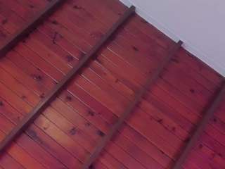 alisson-harperr