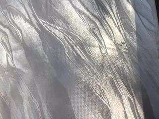  ananyagonzalez chat room