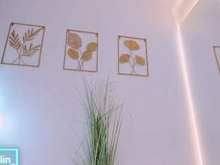 anastalin1