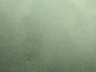 normahargers live cam profile