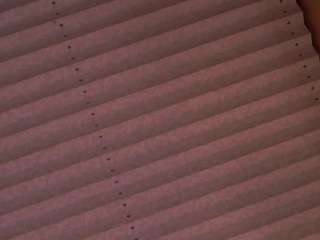 normahargers live webcam show