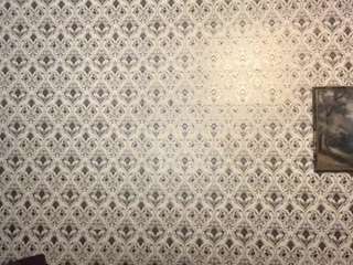 aaradhyadeluca webcam