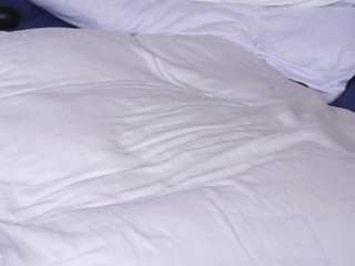 hasta-la-kissy webcam