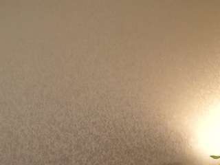 celestamagallan's CamSoda show and profile