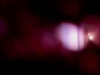 Luy-Star