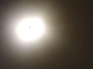 mrspeachesxoxo