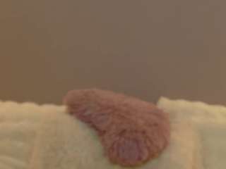 Anaayss live webcam show