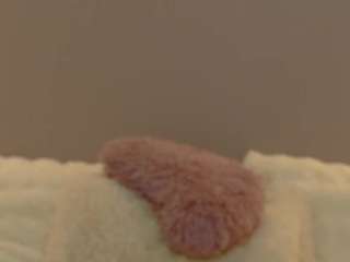 Anaayss live webcam show