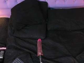 abbymodel01 live cam profile