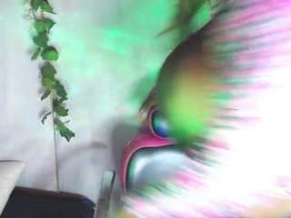 roosv