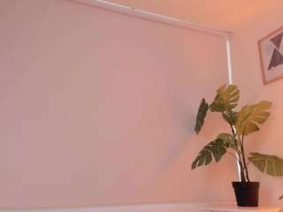 diva-curvi