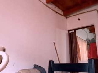  palmiraharig chat room