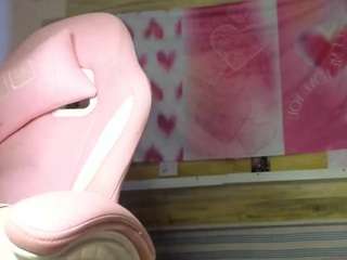 Elma live cam preview