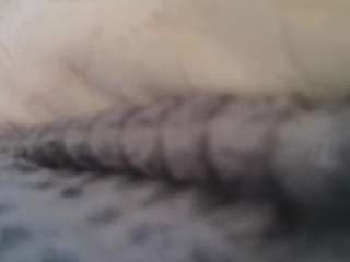 biancka live cam profile