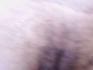 shakirajacksoncf Live Webcam on CamSoda