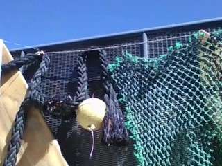 exhibitionistchannel