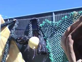 exhibitionistchannel