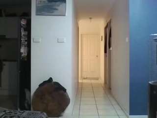 exhibitionistchannel