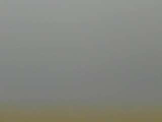queenrafaelle