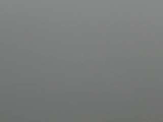Rafaelle live cam