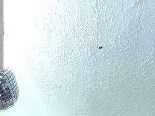 agata-wishx