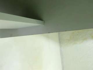 Agata-Wishx