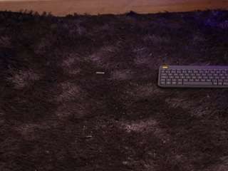 Live webcam model angiled03 on Soda Cams