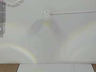 molibunny