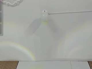 molibunny