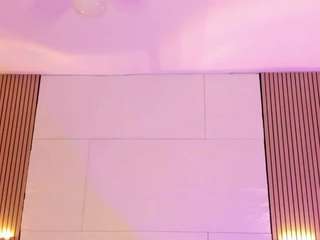 molibunny