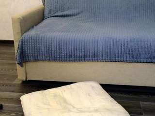 lovellymolly's CamSoda show and profile