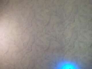 lovellymolly's CamSoda show and profile